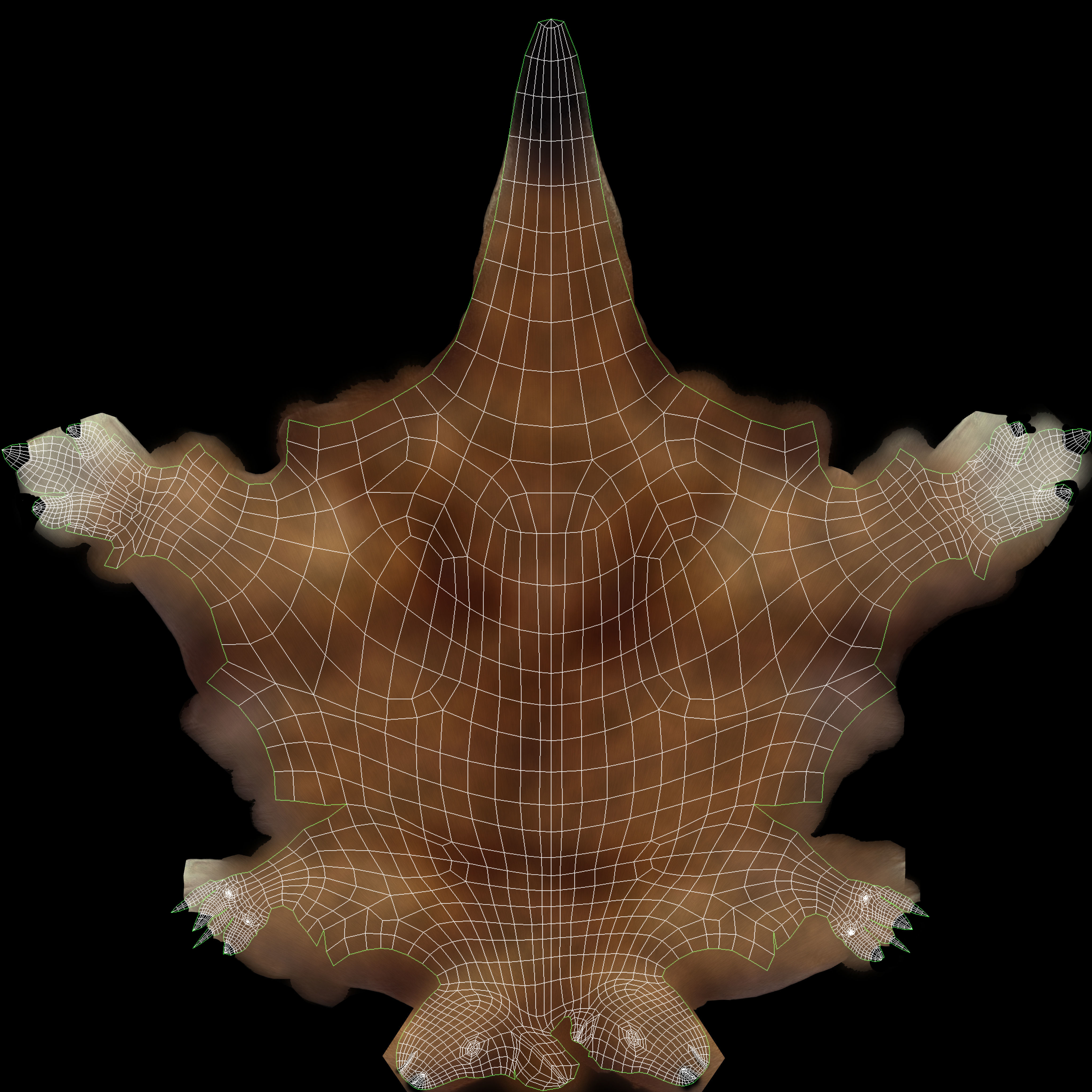 Kangaroo High Poly Australian Animal 3D model_9