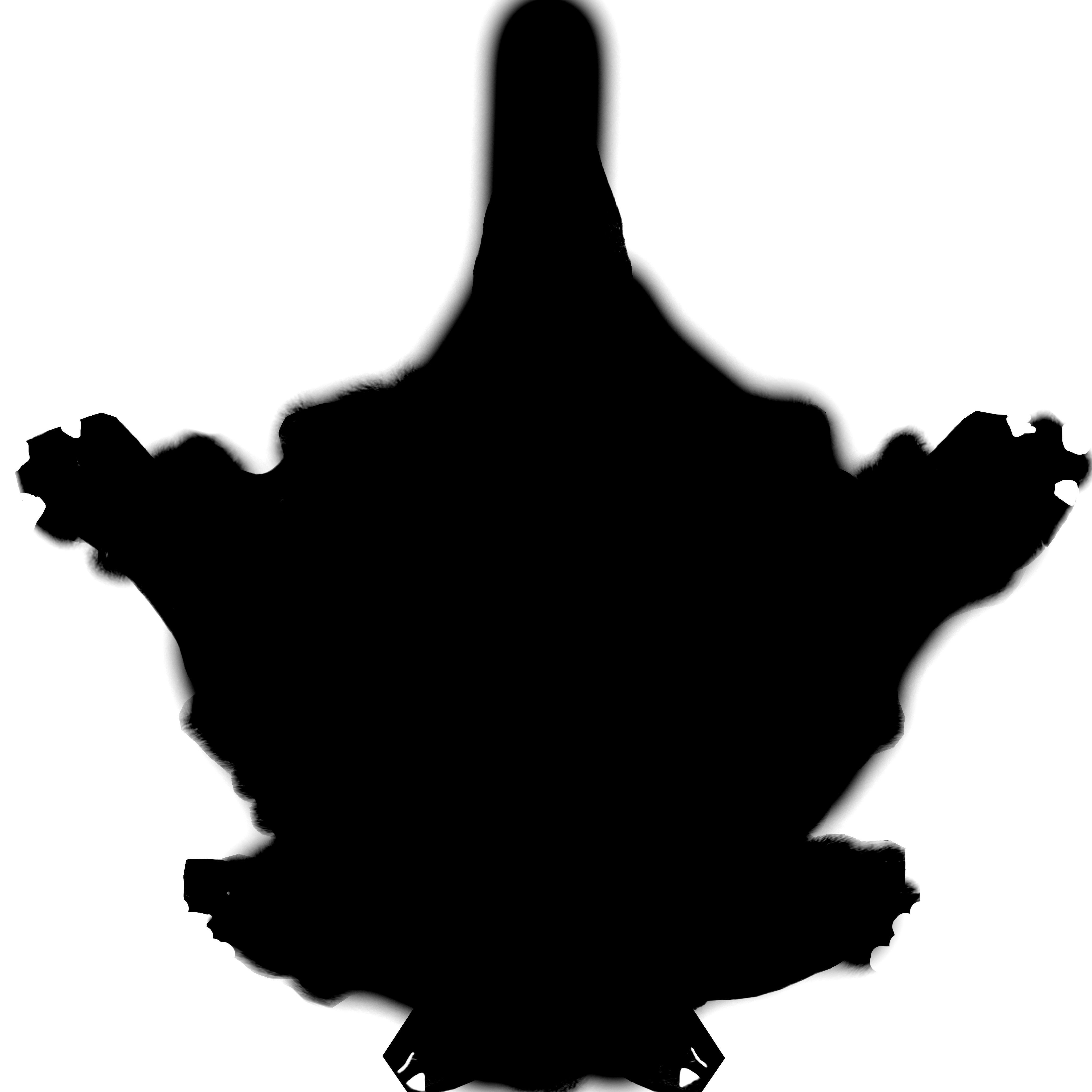 Kangaroo High Poly Australian Animal 3D model_8