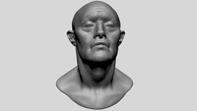 Male Head C 3D model