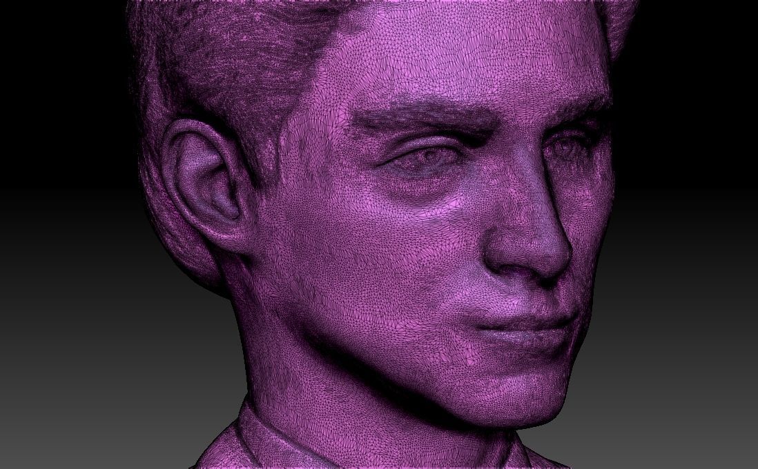 Timothee Chalamet bust for 3D printing 3D print model_28