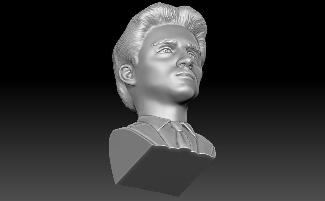 Timothee Chalamet bust for 3D printing 3D print model_22
