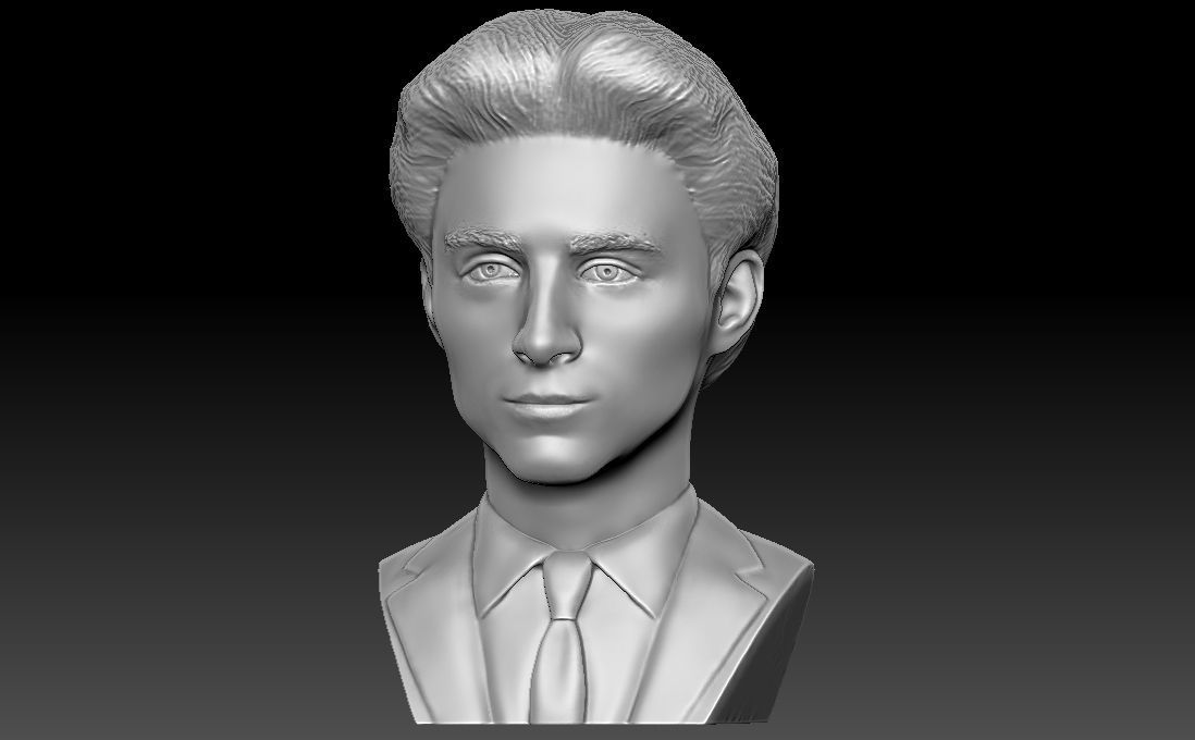 Timothee Chalamet bust for 3D printing 3D print model_1