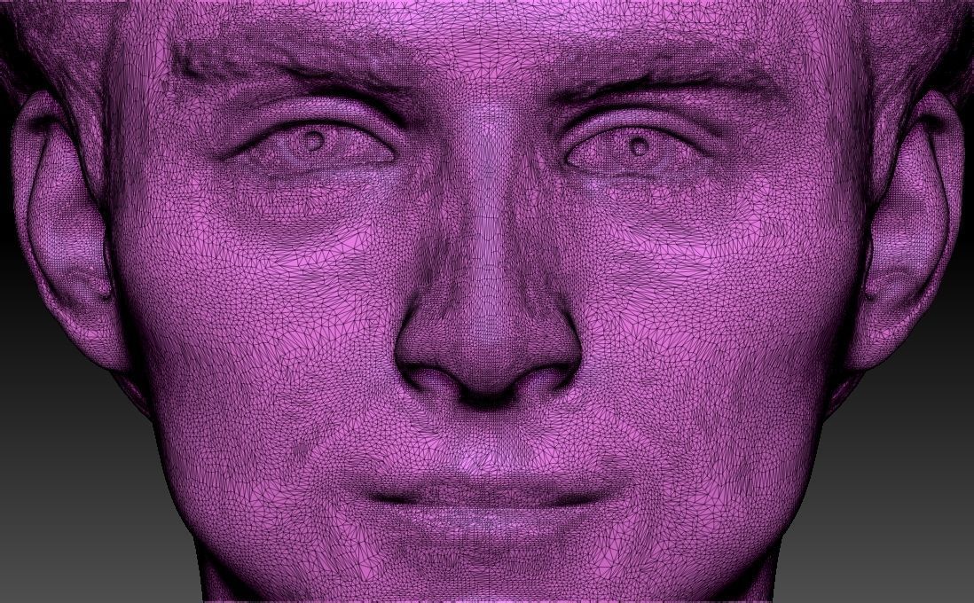 Timothee Chalamet bust for 3D printing 3D print model_27