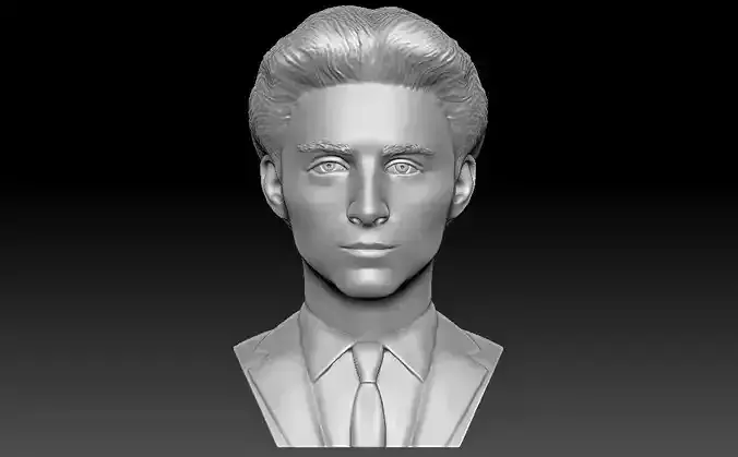 Timothee Chalamet bust for 3D printing 3D print model