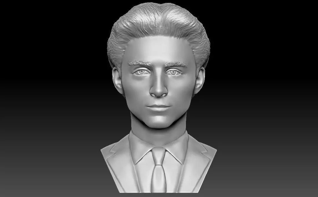Timothee Chalamet bust for 3D printing 3D print model_0