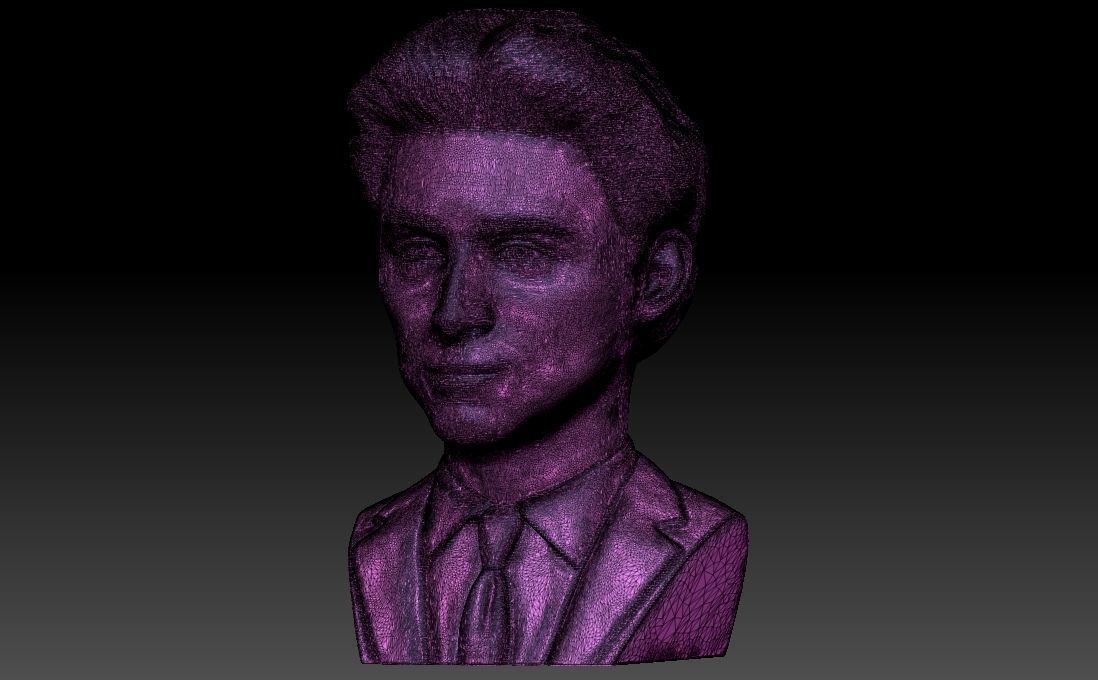 Timothee Chalamet bust for 3D printing 3D print model_26