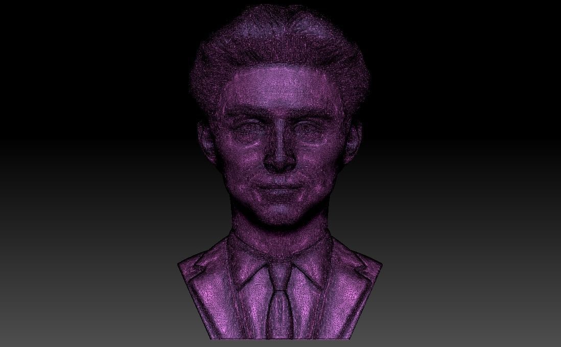 Timothee Chalamet bust for 3D printing 3D print model_25