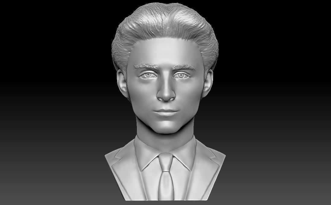 Timothee Chalamet bust for 3D printing 3D print model_12