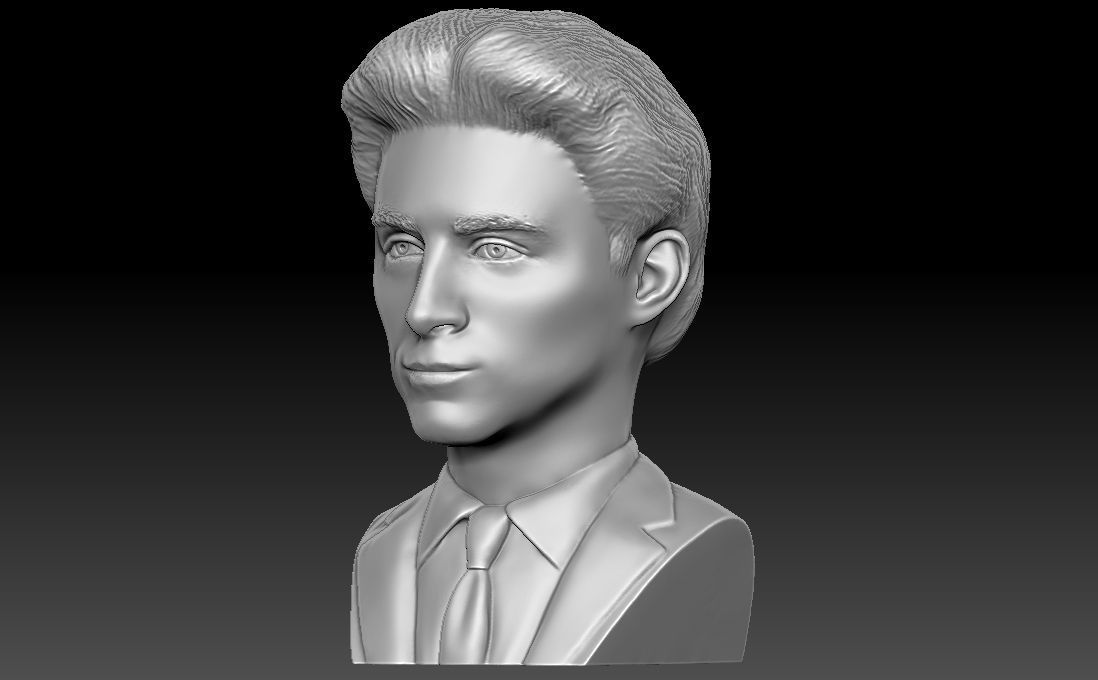 Timothee Chalamet bust for 3D printing 3D print model_2