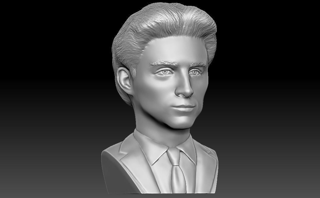 Timothee Chalamet bust for 3D printing 3D print model_10