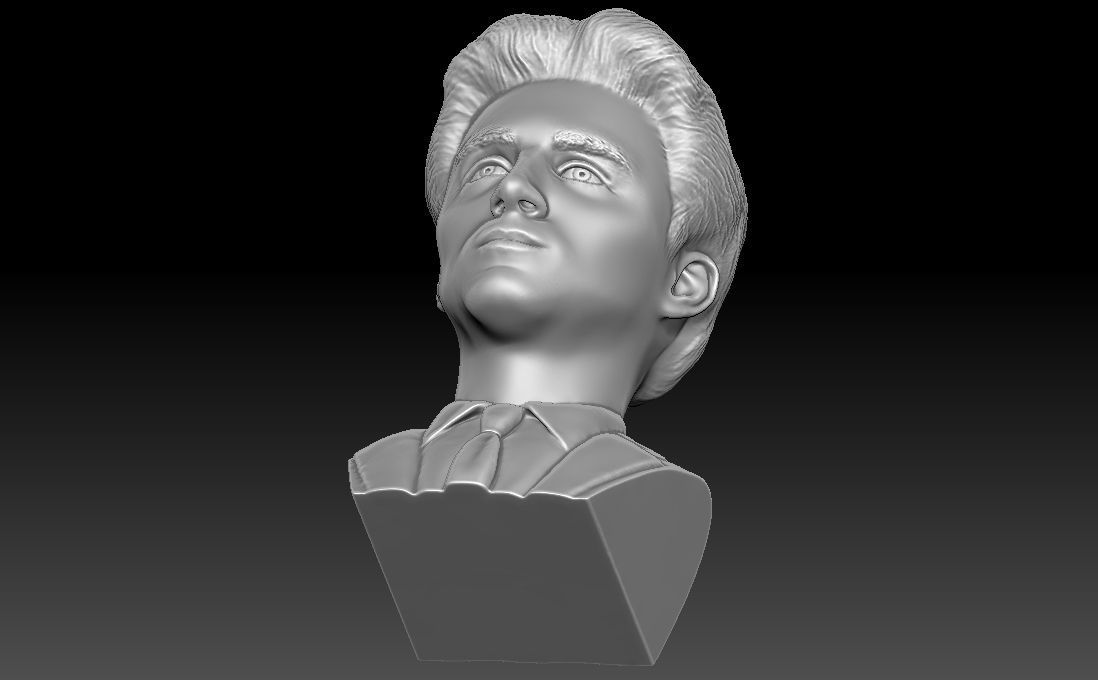 Timothee Chalamet bust for 3D printing 3D print model_23