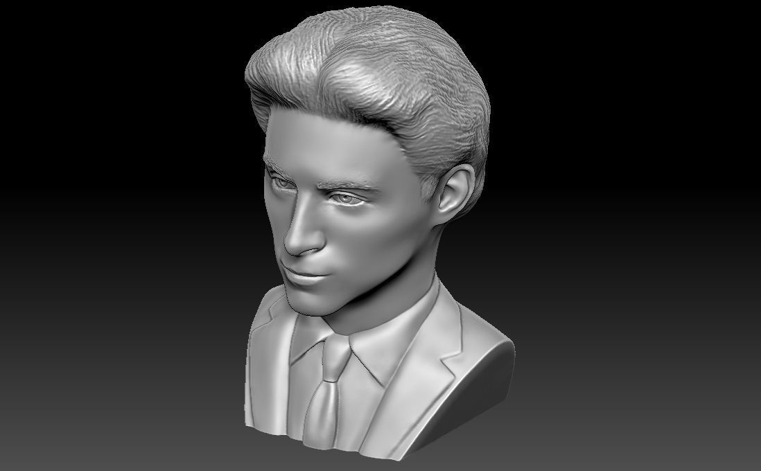 Timothee Chalamet bust for 3D printing 3D print model_20