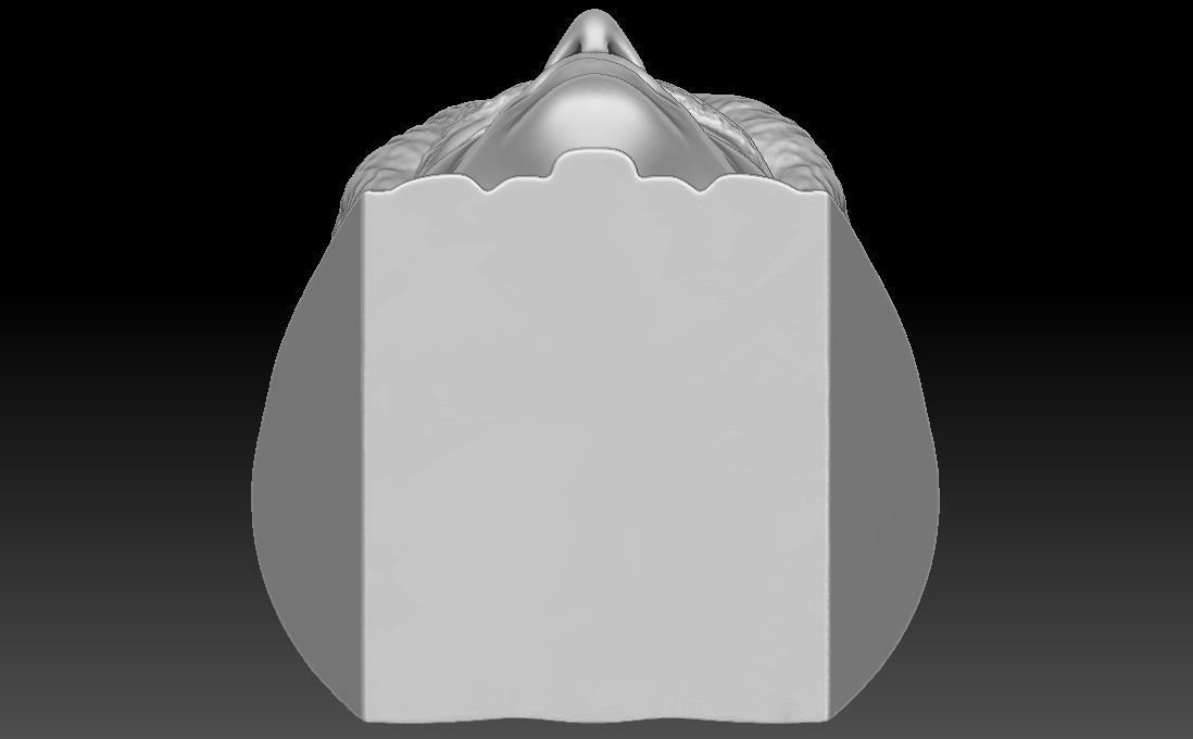 Timothee Chalamet bust for 3D printing 3D print model_24