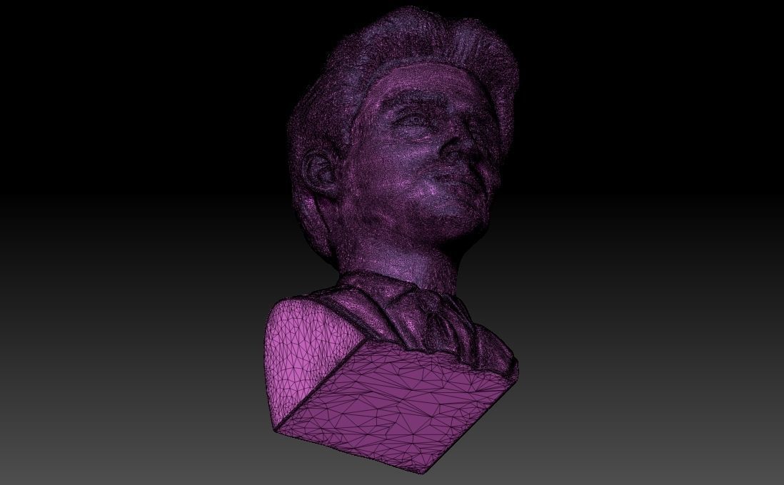 Timothee Chalamet bust for 3D printing 3D print model_29