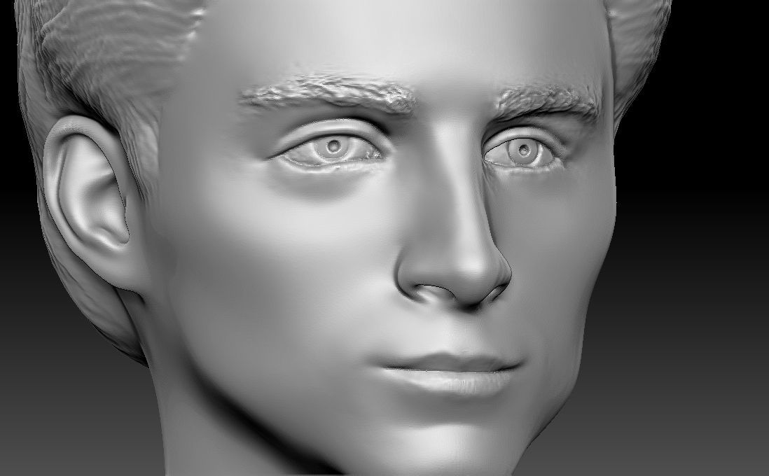 Timothee Chalamet bust for 3D printing 3D print model_14