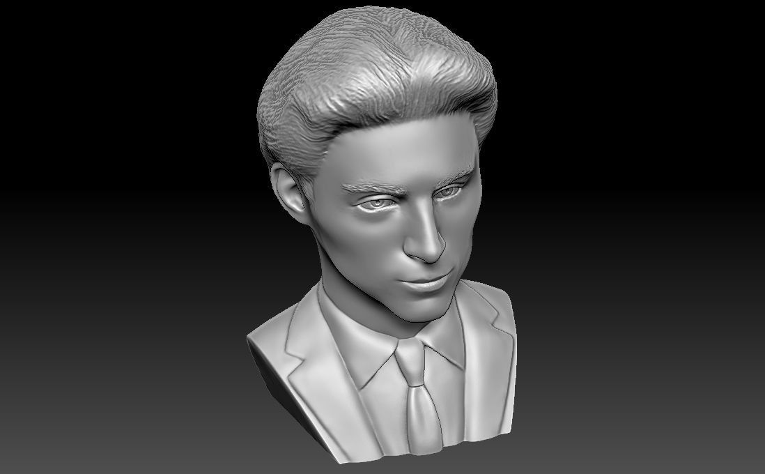 Timothee Chalamet bust for 3D printing 3D print model_21