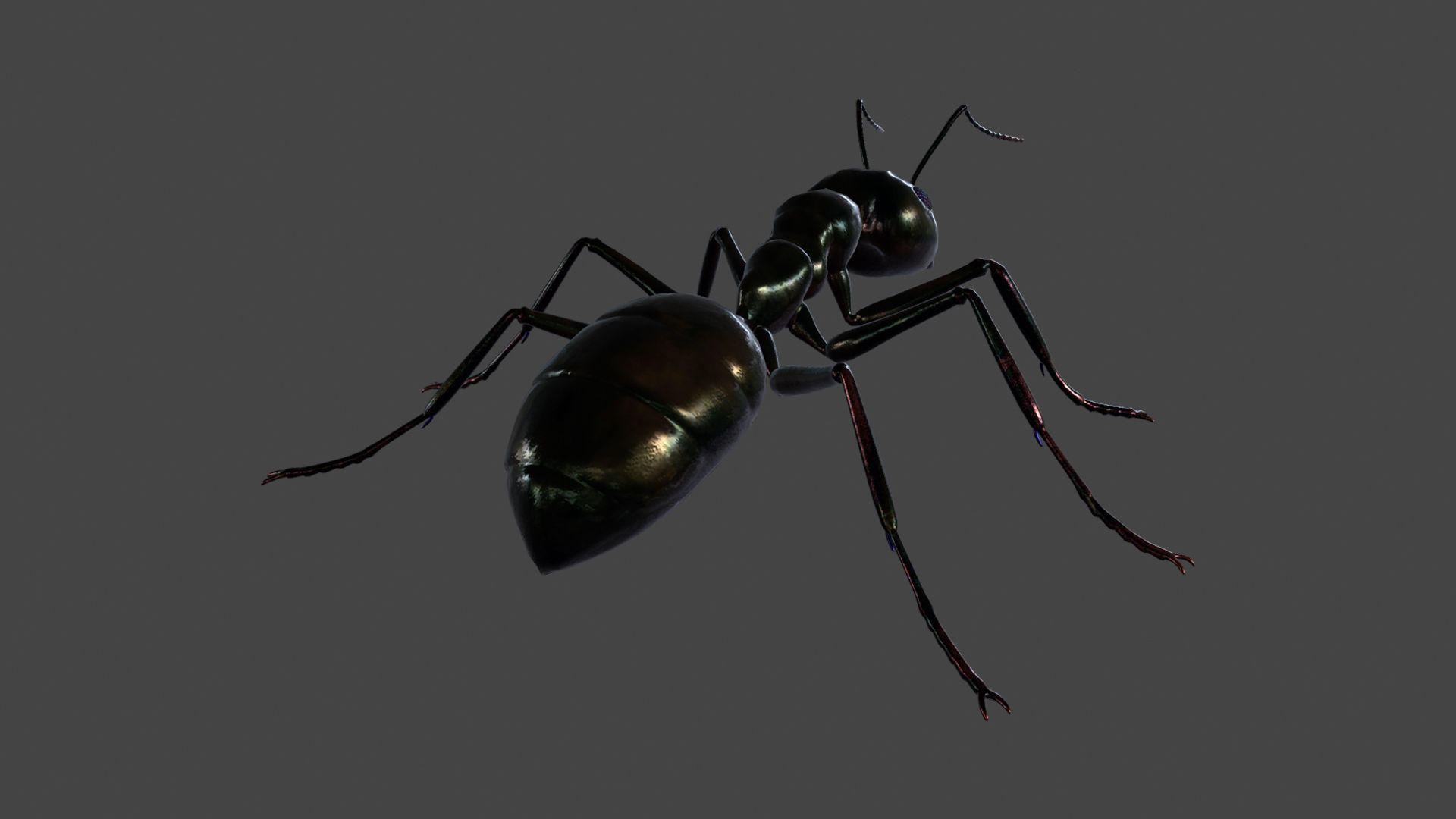 ANTS-002 Rigged Black Ant Low-poly 3D model_3