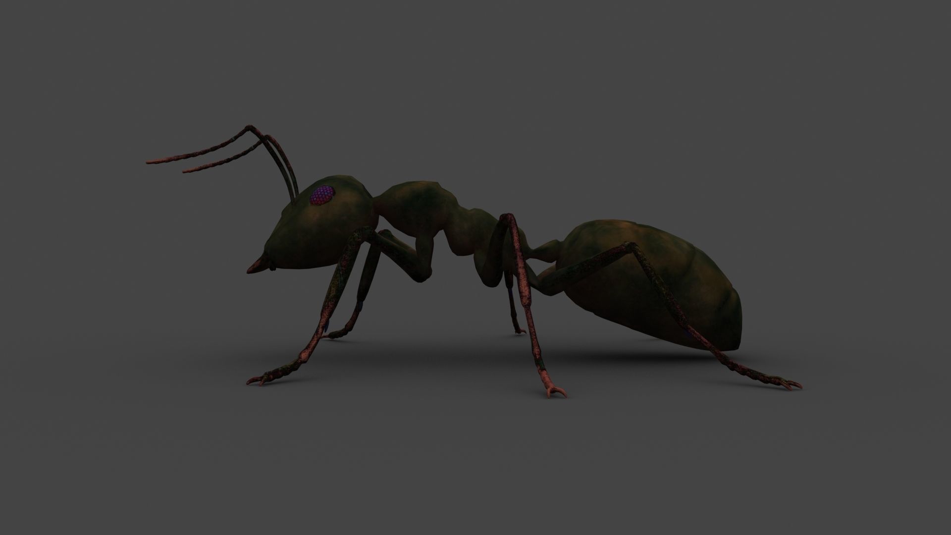 ANTS-002 Rigged Black Ant Low-poly 3D model_4