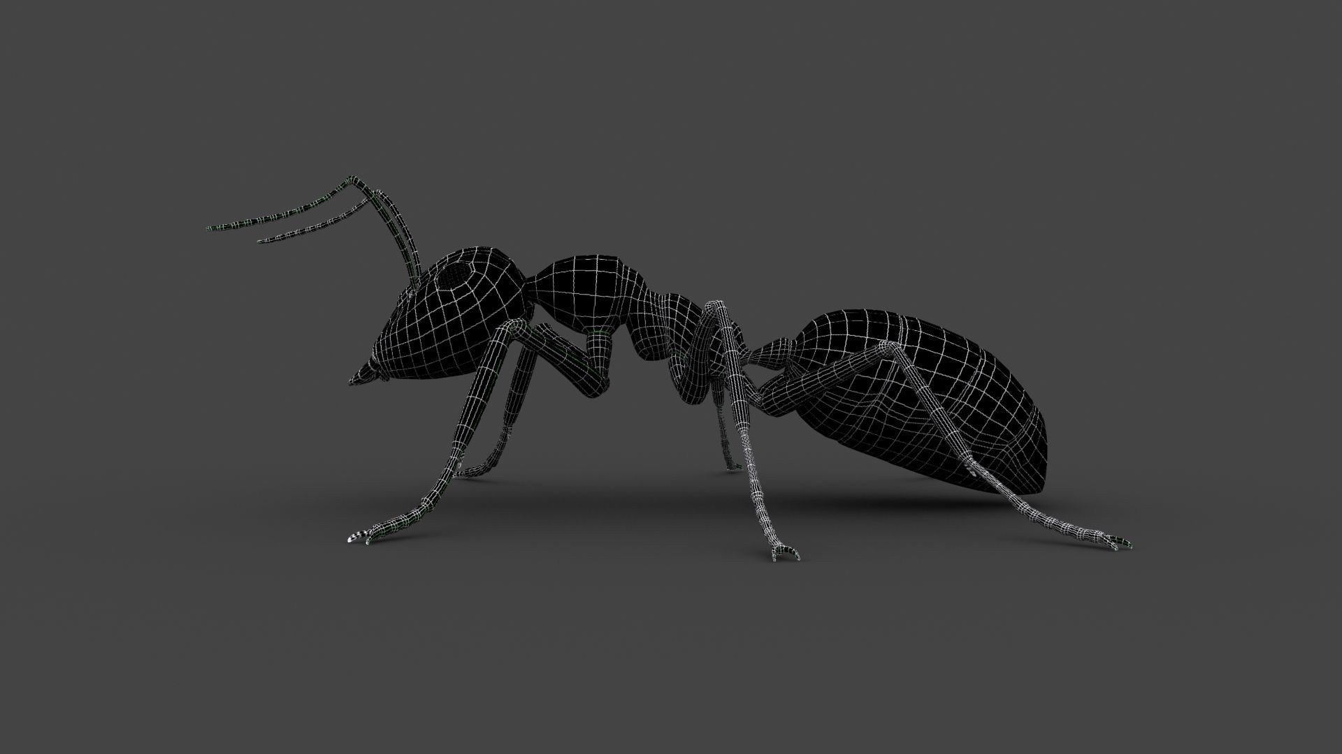 ANTS-002 Rigged Black Ant Low-poly 3D model_6