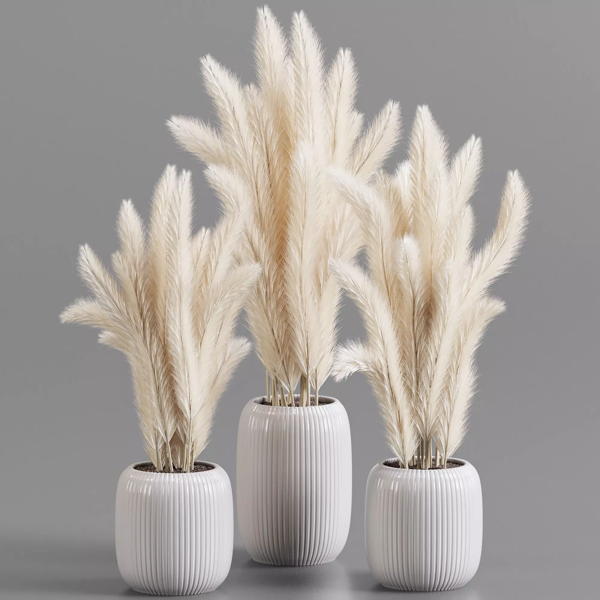 bouqute 06 pampass 3D model_0