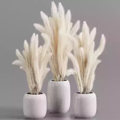 bouqute 06 pampass 3D model