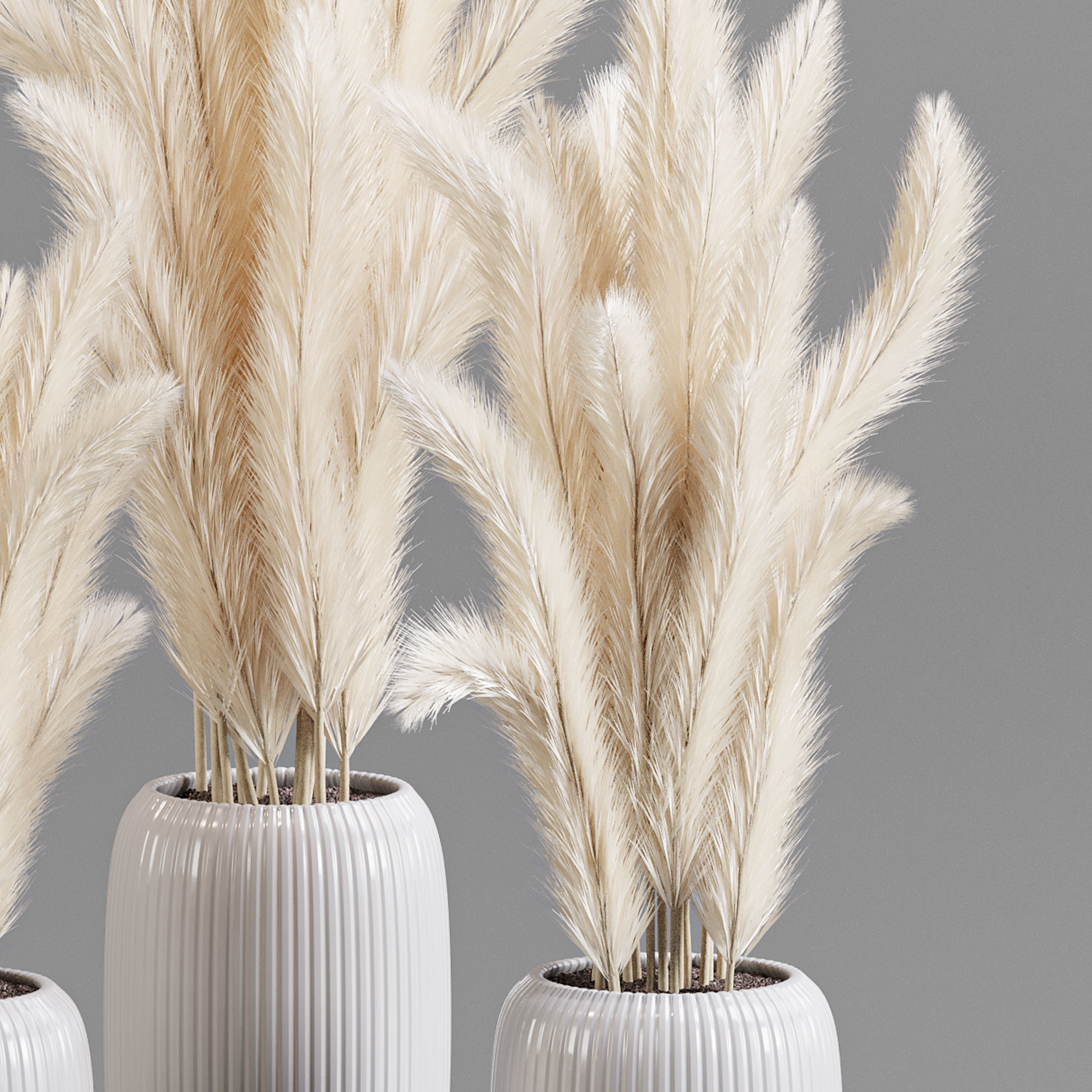 bouqute 06 pampass 3D model_3