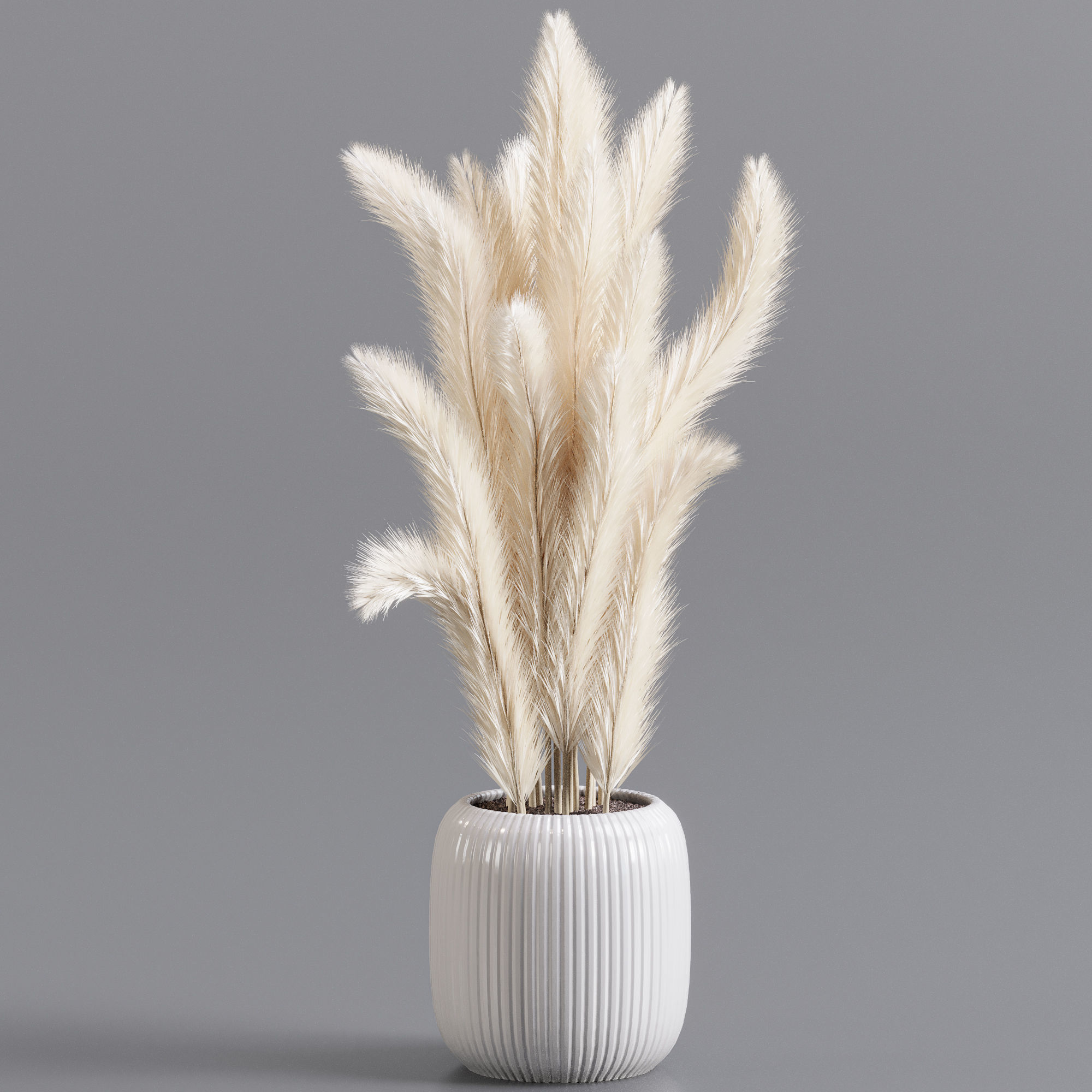 bouqute 06 pampass 3D model_1