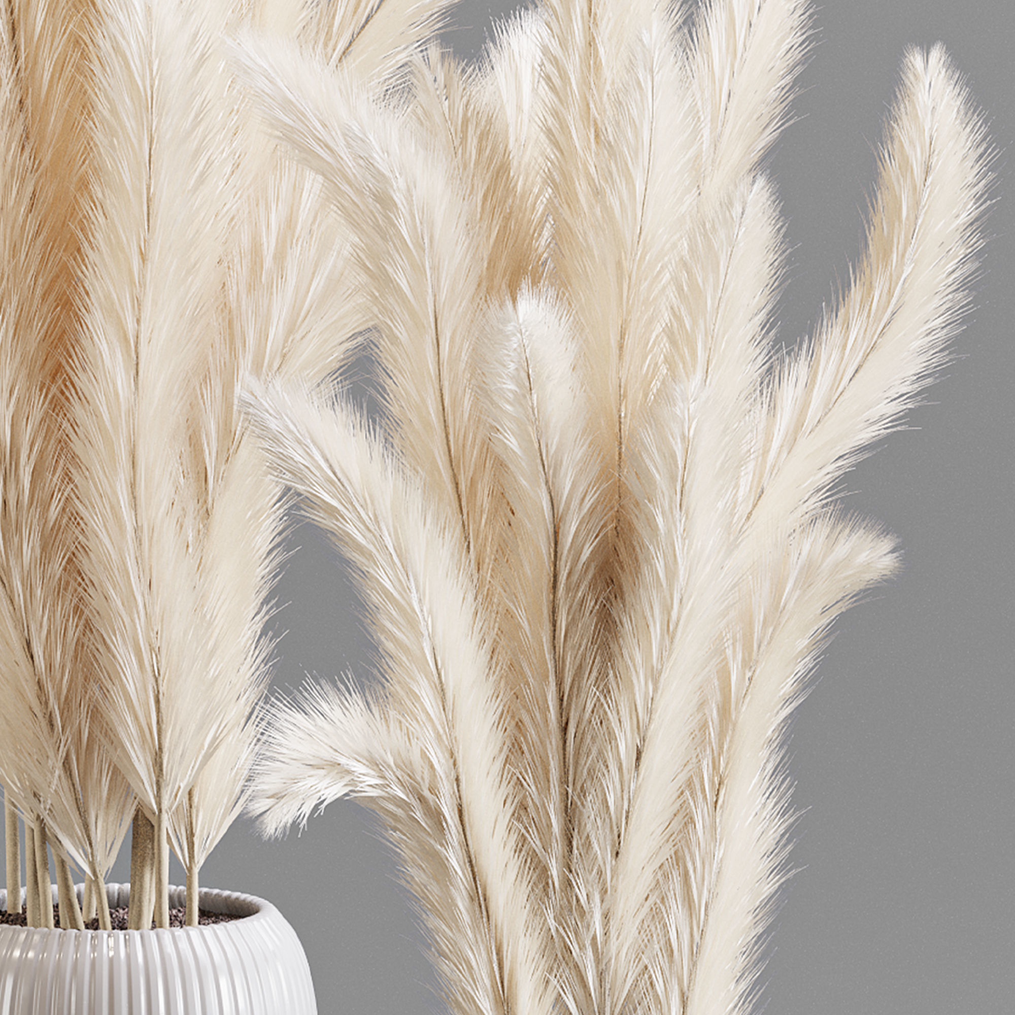 bouqute 06 pampass 3D model_4