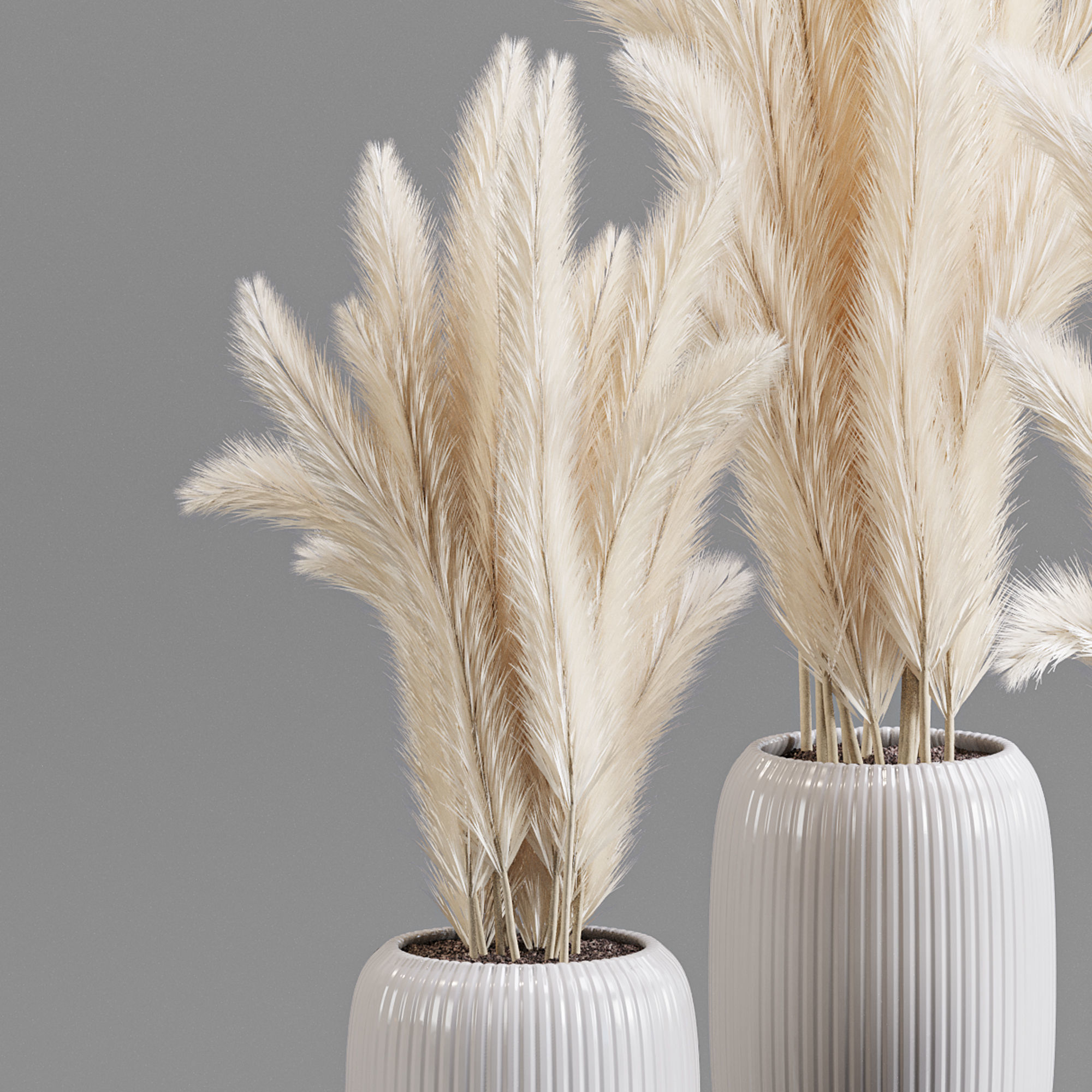 bouqute 06 pampass 3D model_2