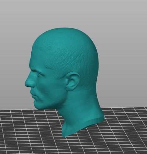 SAM WITER STARKILLER HEAD SCULPT 3D print model_1