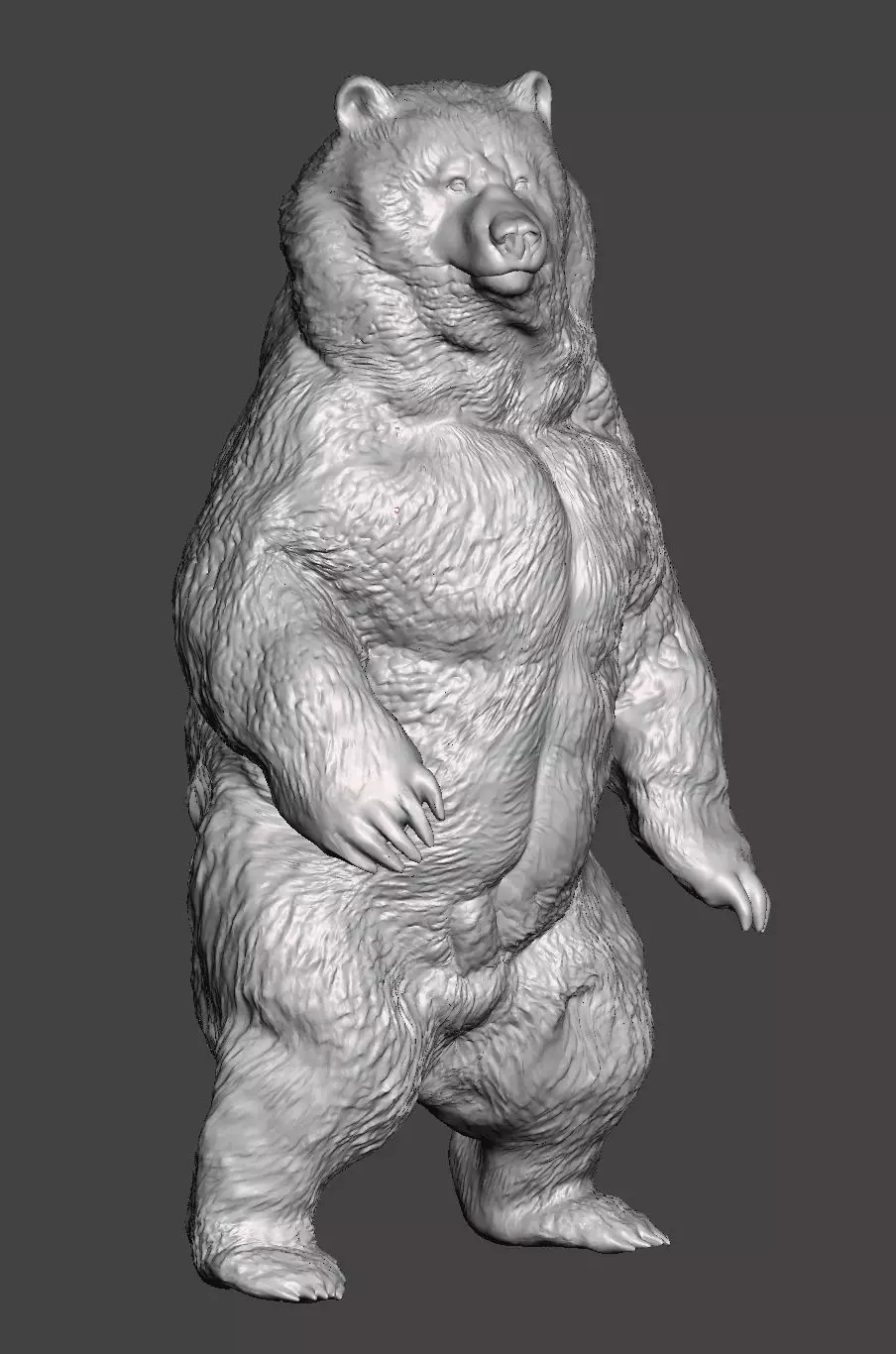 Kodiak bear 3D print model_0