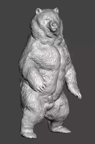 Kodiak bear 3D print model