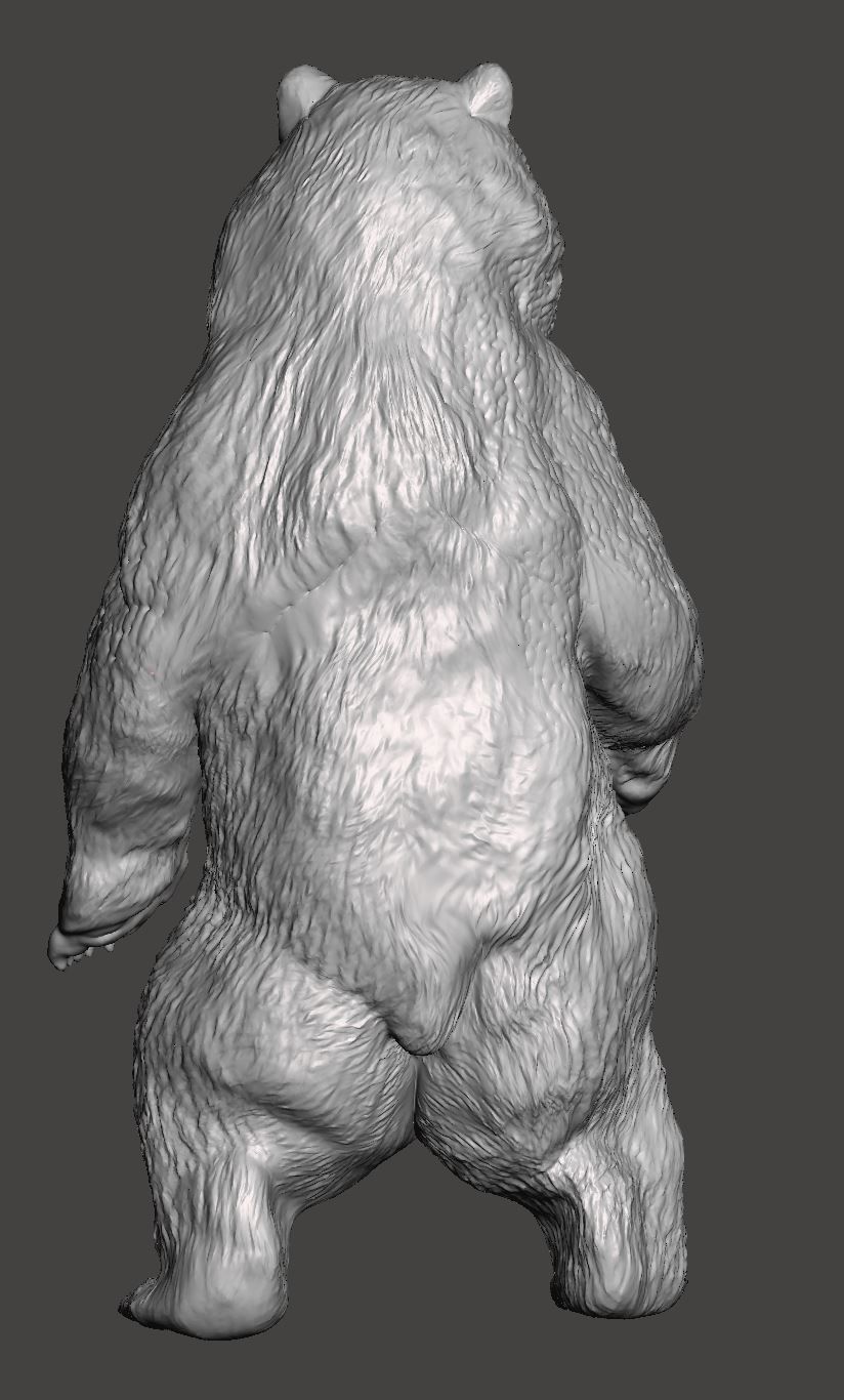 Kodiak bear 3D print model_1