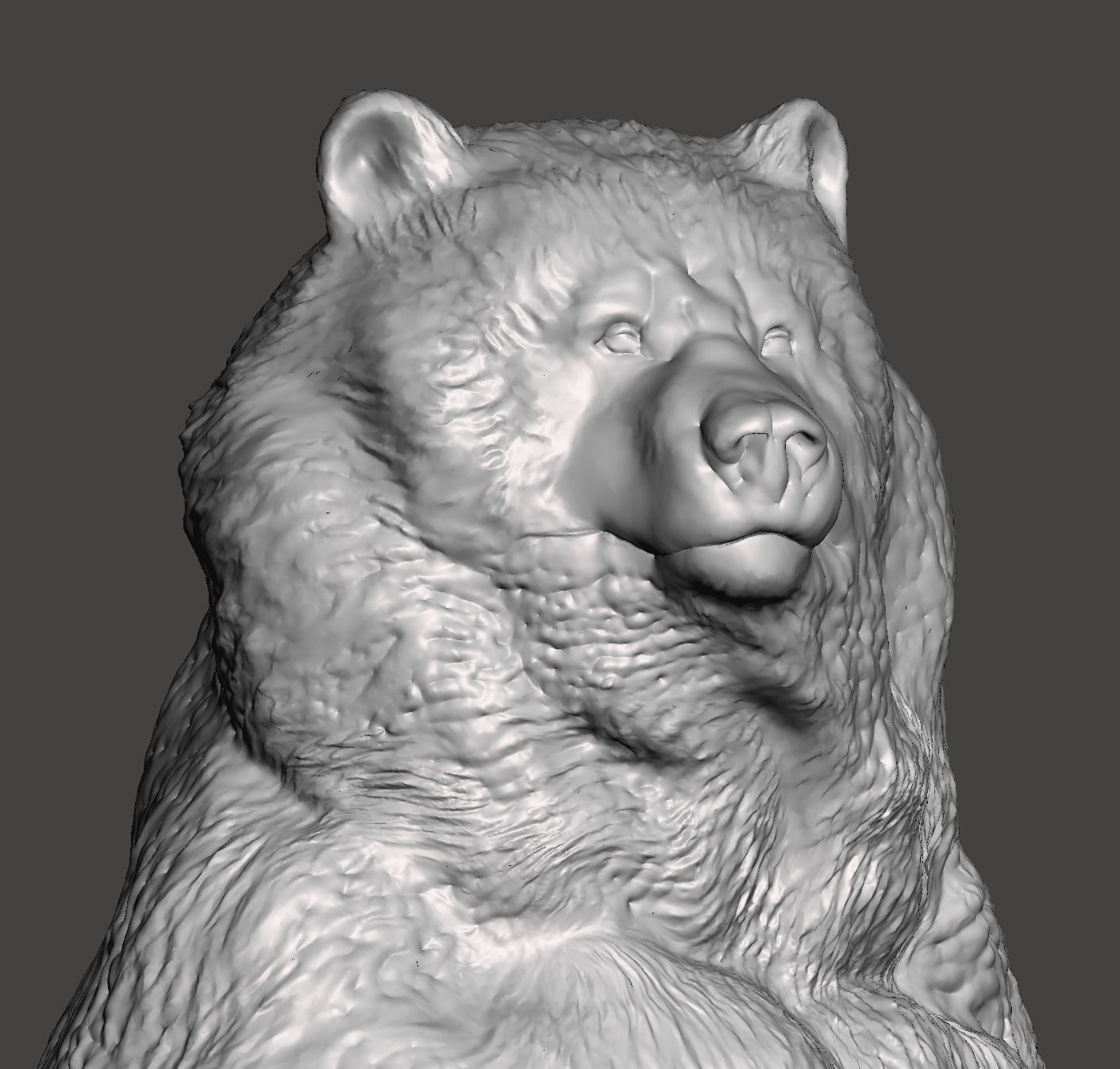 Kodiak bear 3D print model_3