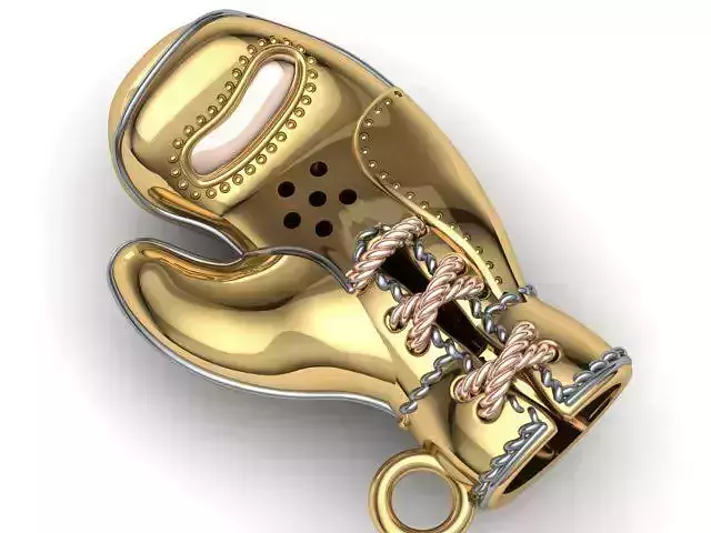 wrestler boxer glove