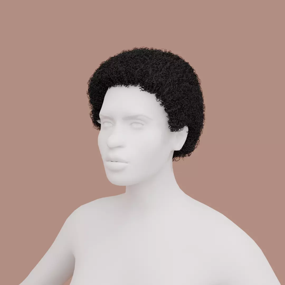 Black Small Afro 3D model_0