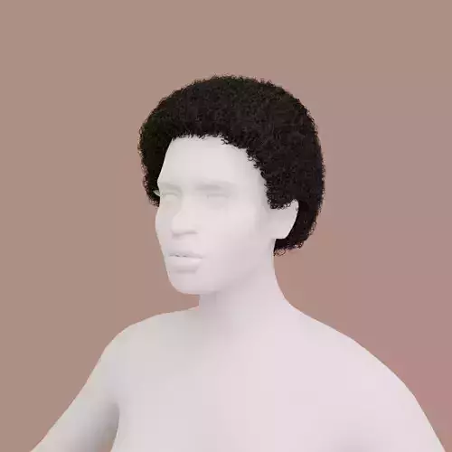 Black Small Afro 3D model