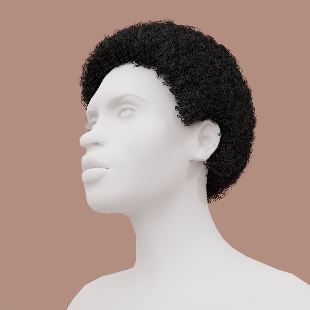 Black Small Afro 3D model_1