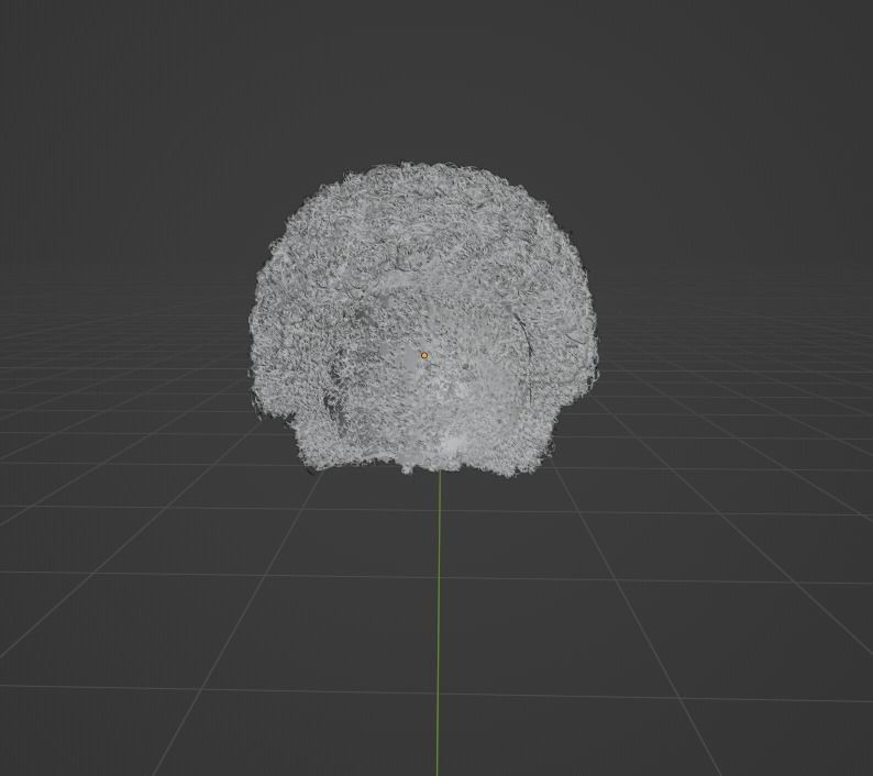Black Small Afro 3D model_9