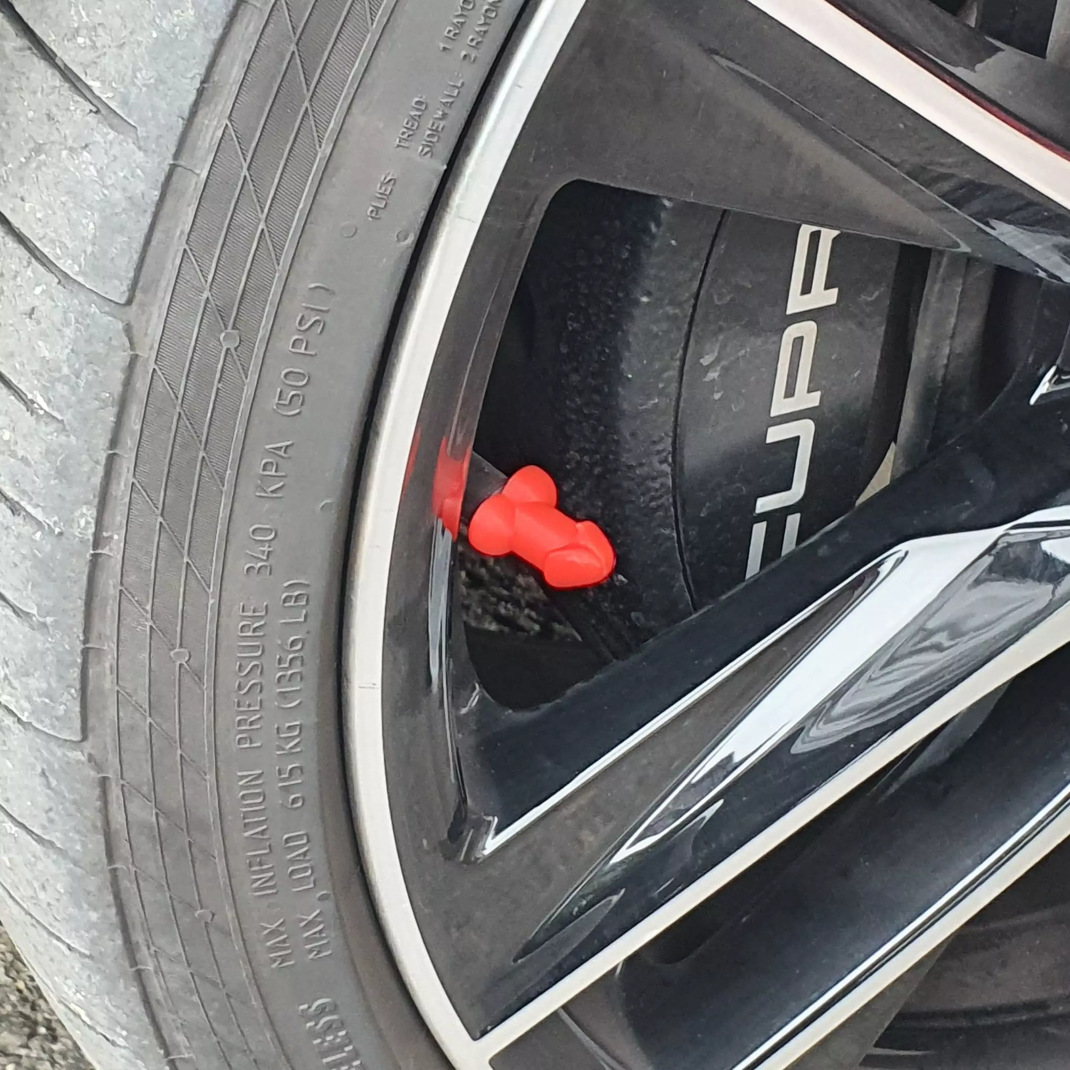 Funny Cock Valve Cap Hilarious Tire Valve Cover to Prank Friends 3D print model_0