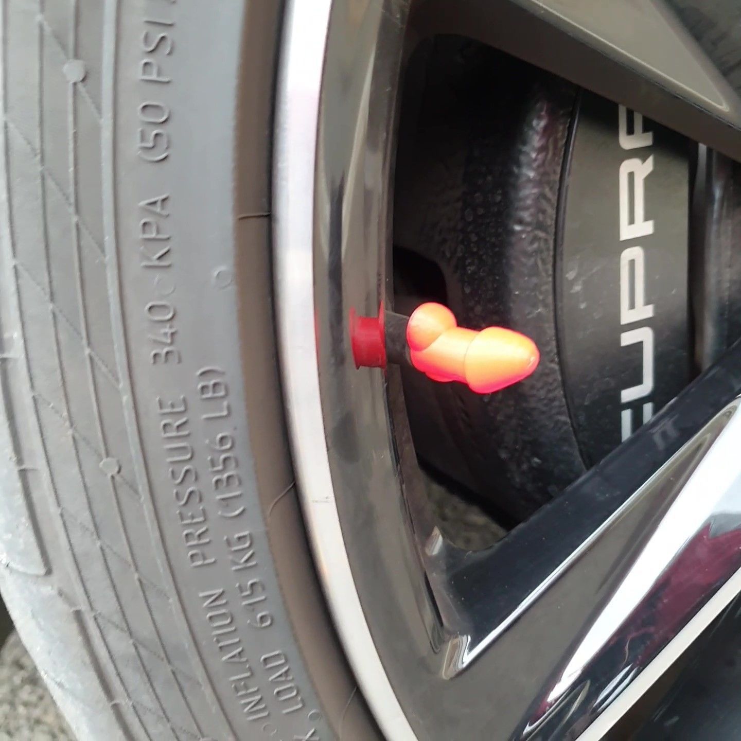 Funny Cock Valve Cap Hilarious Tire Valve Cover to Prank Friends 3D print model_5