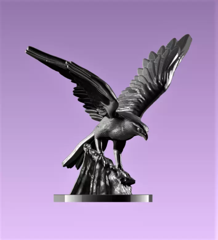 Hawk eagle  3D print model_0