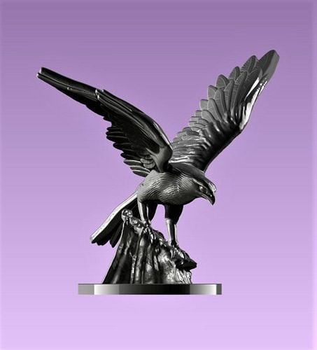 Hawk eagle  3D print model