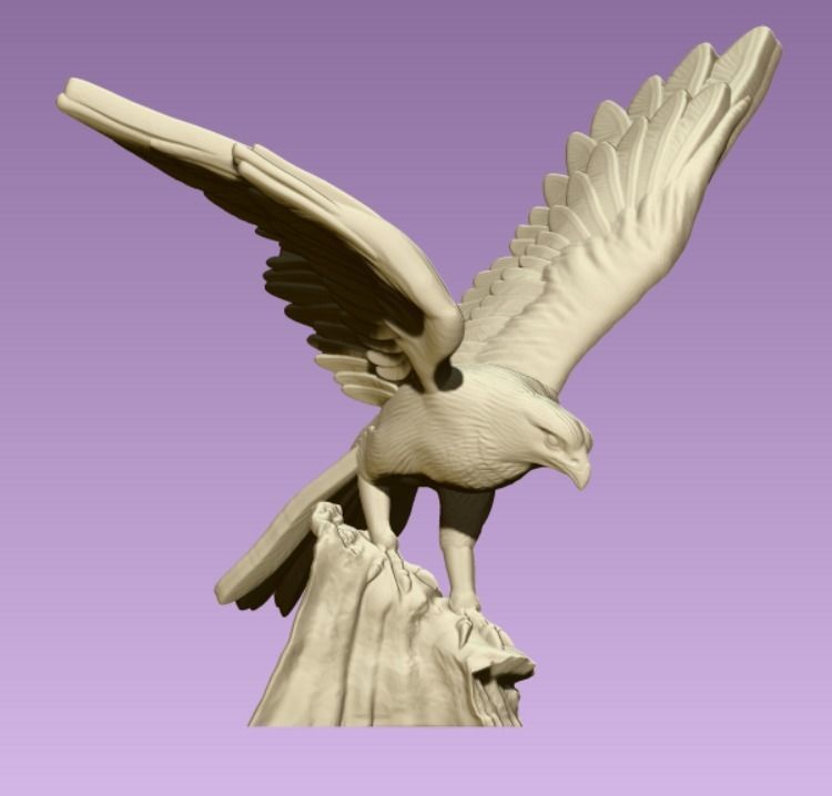 Hawk eagle  3D print model_7