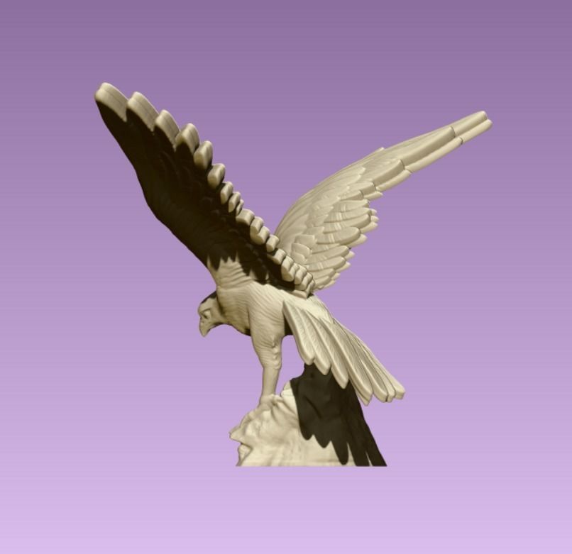 Hawk eagle  3D print model_2
