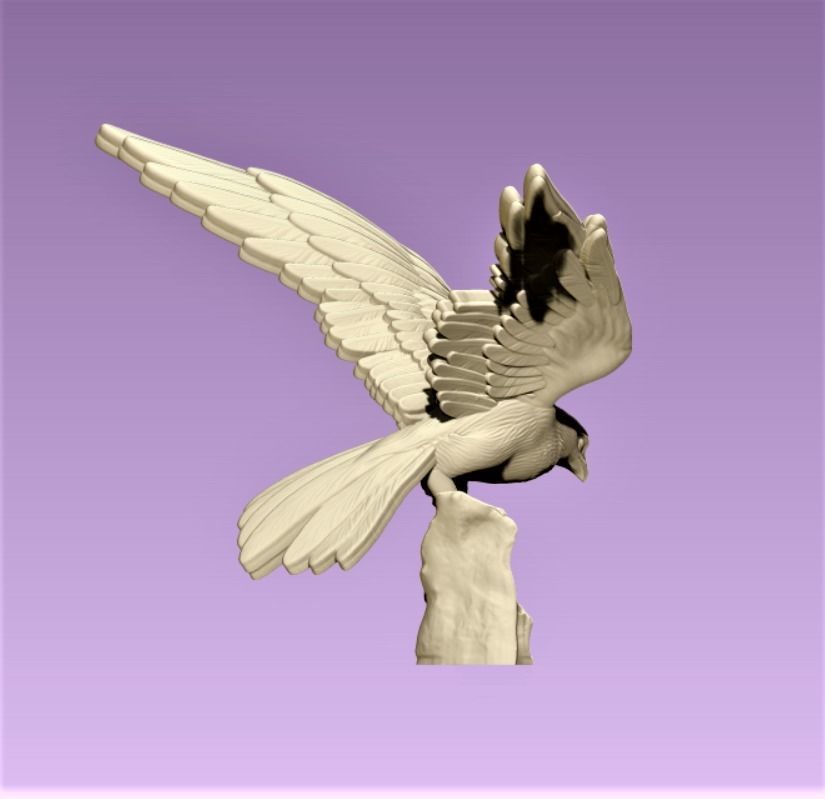 Hawk eagle  3D print model_3