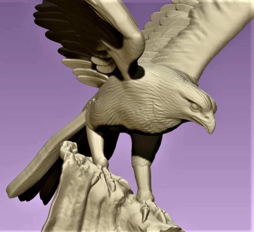 Hawk eagle  3D print model_6