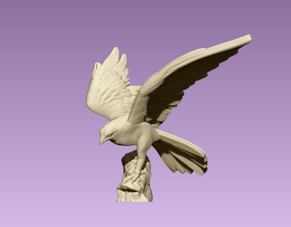 Hawk eagle  3D print model_1