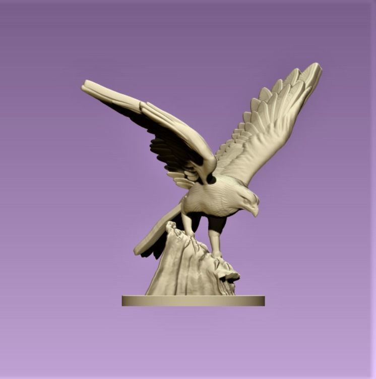 Hawk eagle  3D print model_5