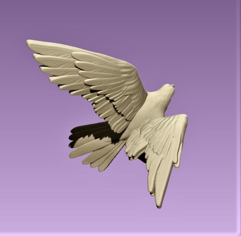 Hawk eagle  3D print model_4